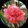 floramoda2023